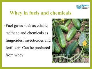 Whey in fuels and chemicals
•Fuel gases such as ethane,
methane and chemicals as
fungicides, insecticides and
fertilizers Can be produced
from whey
 