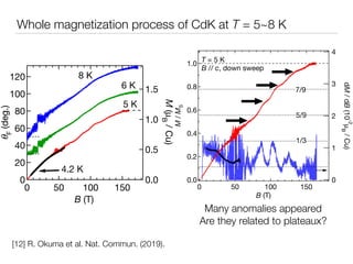 Magnon crystallization in kagomé antiferromagnets | PDF