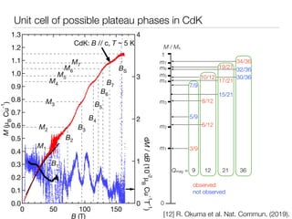 Unit cell of possible plateau phases in CdK
m1
m2
m3
m4
m5
m6
m7
M / Ms
Qmag =
observed


not observed
1
0
8/12
6/12
10/12...