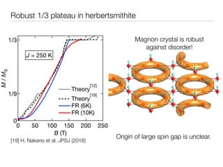 Robust 1/3 plateau in herbertsmithite
Magnon crystal is robust
against disorder!
[19] H. Nakano et al. JPSJ (2018)
0
1/9
1...