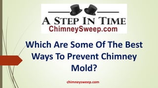chimneysweep.com
Which Are Some Of The Best
Ways To Prevent Chimney
Mold?
 