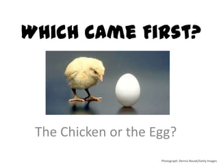 Which Came First?



 The Chicken or the Egg?
                     Photograph: Dennis Novak/Getty Images
 