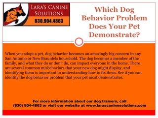 Which Dog
Behavior Problem
Does Your Pet
Demonstrate?
For more information about our dog trainers, call
(830) 904-4863 or visit our website at www.larascaninesolutions.com
When you adopt a pet, dog behavior becomes an amazingly big concern in any
San Antonio or New Braunfels household. The dog becomes a member of the
family, and what they do or don’t do, can impact everyone in the home. There
are several common misbehaviors that your new dog might display, and
identifying them is important to understanding how to fix them. See if you can
identify the dog behavior problem that your pet most demonstrates.
 