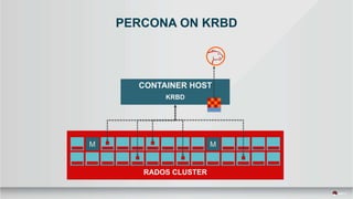 PERCONA ON KRBD
RADOS CLUSTER
 