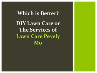 Which is Better?
DIY Lawn Care or
The Services of
Lawn Care Pevely
Mo

 