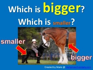 Which is bigger?
Which is smaller?
Created by Marie @ thehomeschooldaily.com
 