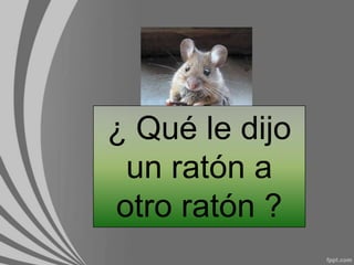 ¿ Qué le dijo un ratón a otro ratón ?