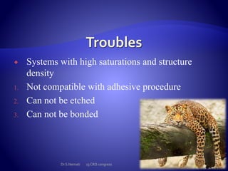  Systems with high saturations and structure
density
1. Not compatible with adhesive procedure
2. Can not be etched
3. Can not be bonded
Dr S.Nemati 13 CRD congress
 