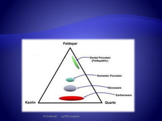 Dr S.Nemati 13 CRD congress
 