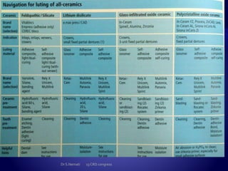 Dr S.Nemati 13 CRD congress
 