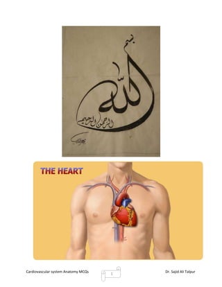Cardiovascular system Anatomy MCQs   1
                                         Dr. Sajid Ali Talpur
 