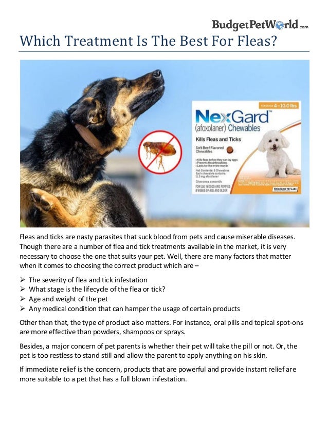 instant flea relief for dogs