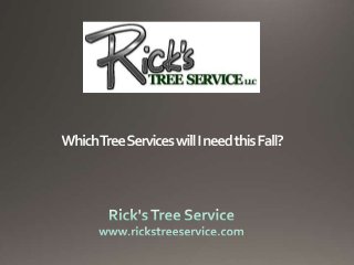 Which Tree Services will I need this Fall?