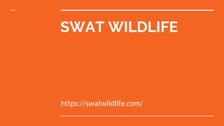 SWAT WILDLIFE
https://swatwildlife.com/
 