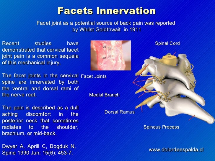 Whiplash: The ocult damages