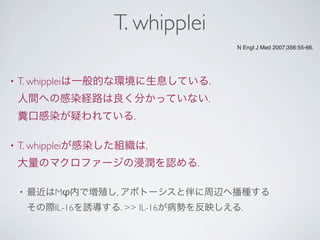 T. whipplei
• T. whippleiは一般的な環境に生息している.
人間への感染経路は良く分かっていない.
糞口感染が疑われている.
• T. whippleiが感染した組織は,
大量のマクロファージの浸潤を認める.
• 最近はMφ内で増殖し, アポトーシスと伴に周辺へ播種する
その際IL-16を誘導する. >> IL-16が病勢を反映しえる.
N Engl J Med 2007;356:55-66.
 