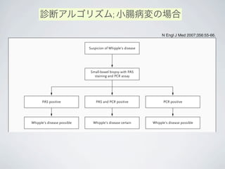 The new engl and jour nal of medicine
Small-bowel biopsy with PAS
staining and PCR assay
Suspicion of Whipple’s disease
PAS and PCR positivePAS positive
Whipple’s disease possible
PCR positive
Whipple’s disease certain
Selections of samples tested with
PAS staining and PCR assayClinical manifestations
Suspicion of localized Whipple’s
disease
Whipple’s disease possible
診断アルゴリズム; 小腸病変の場合
N Engl J Med 2007;356:55-66.
 