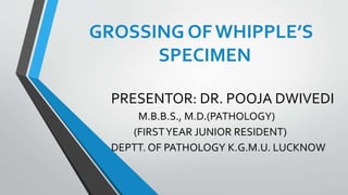 GROSSING OFWHIPPLE’S
SPECIMEN
PRESENTOR: DR. POOJA DWIVEDI
M.B.B.S., M.D.(PATHOLOGY)
(FIRSTYEAR JUNIOR RESIDENT)
DEPTT. OF PATHOLOGY K.G.M.U. LUCKNOW
 