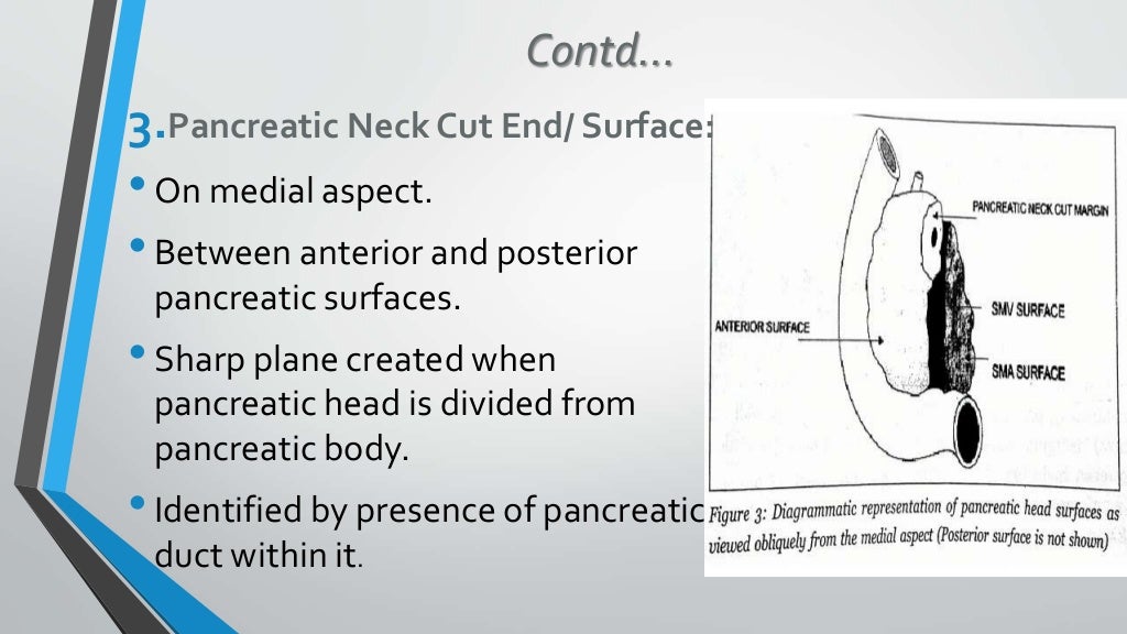Whipple's specimen grossing