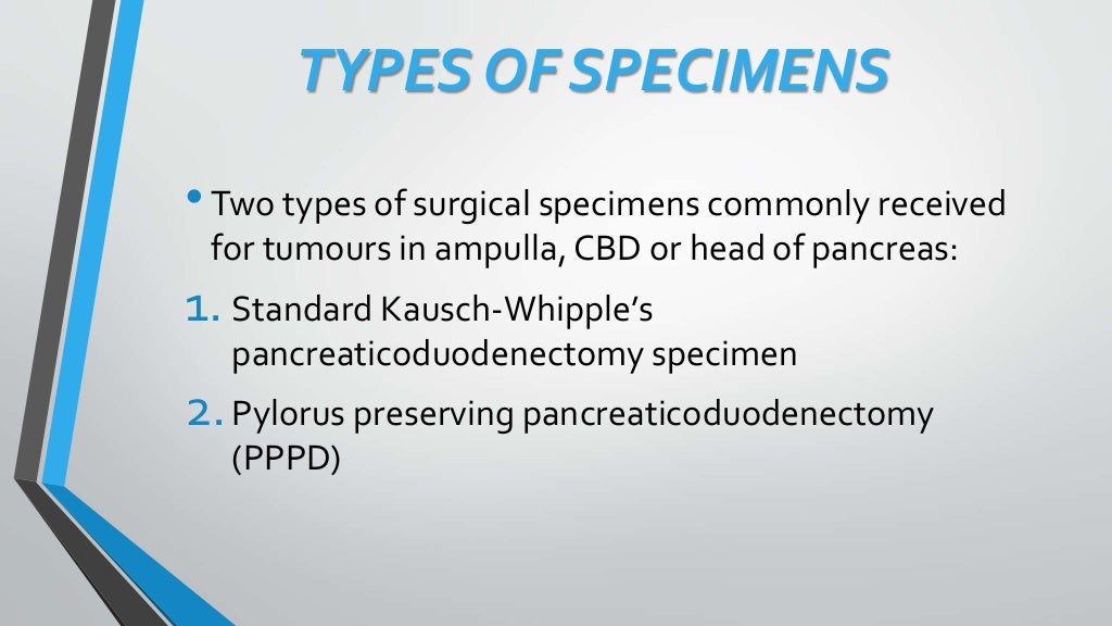 Whipple's specimen grossing