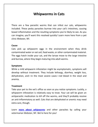 Whipworms in Cats
There are a few parasitic worms that can infest our cats, whipworms
included. These pesky parasites burrow into your cat’s intestines, causing
bowel inflammation and the resulting symptoms you’re likely to see. As you
can imagine, you’ll want this resolved quickly! Learn more here from a pet
clinic Webster, NY.
Cause
Cats pick up whipworm eggs in the environment when they drink
contaminated water or eat soil, food waste, or other contaminated material.
The eggs hatch inside your cat, and the larvae move to the large intestine
and burrow, where they begin maturing into adult worms.
Symptoms
While a mild whipworm infestation might be asymptomatic, symptoms will
develop without treatment. They include lethargy, diarrhea, weight loss,
dehydration, and—in the most severe cases—red blood in the stool and
anemia.
Treatment
Take your pet to the vet’s office as soon as you notice symptoms. Luckily, a
whipworm infestation is relatively easy to treat. Your cat will be given an
antiparasitic medication to kill off the worms, and they’ll probably receive
an anti-inflammatory as well. Cats that are dehydrated or anemic may need
extra care, though.
Learn more about whipworms and other parasites by calling your
veterinarian Webster, NY. We’re here for you!
 