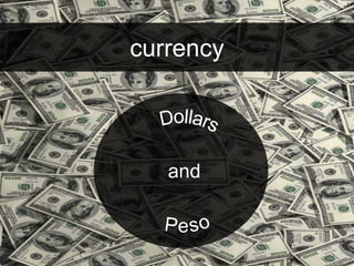 currency 
 