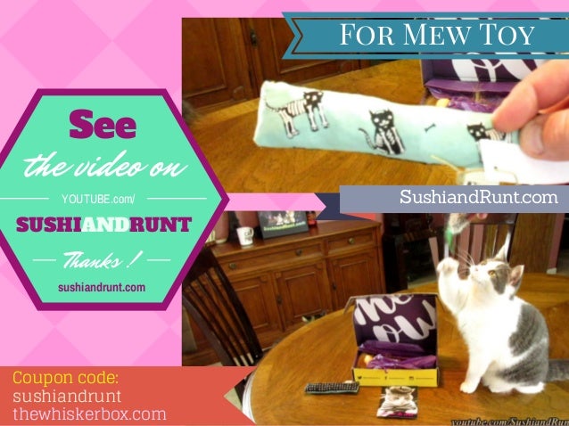 Whiskerbox Cat Subscription Box Review Unboxing