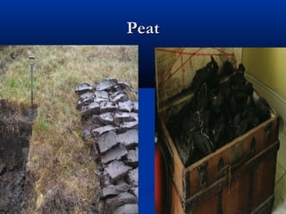 PeatPeat
 