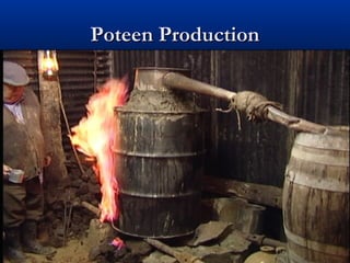 Poteen ProductionPoteen Production
 
