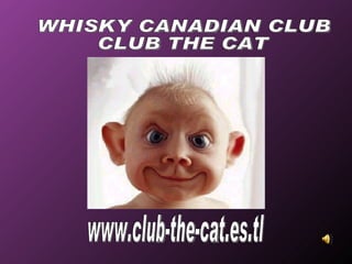 www.club-the-cat.es.tl WHISKY CANADIAN CLUB CLUB THE CAT 