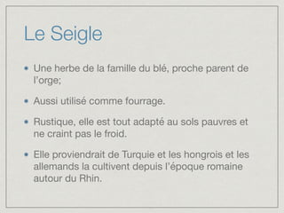Le Seigle
Une herbe de la famille du blé, proche parent de
l’orge;

Aussi utilisé comme fourrage. 

Rustique, elle est tout adapté au sols pauvres et
ne craint pas le froid. 

Elle proviendrait de Turquie et les hongrois et les
allemands la cultivent depuis l’époque romaine
autour du Rhin.
 