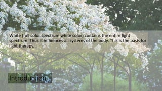 Introduction
White (full color spectrum white color) contains the entire light
spectrum. Thus it influences all systems of the body. This is the basis for
light therapy.
 