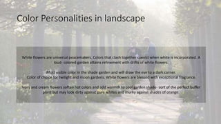 Color Personalities in landscape
White flowers are universal peacemakers. Colors that clash together coexist when white is incorporated. A
loud- colored garden attains refinement with drifts of white flowers.
Most visible color in the shade garden and will draw the eye to a dark corner.
Color of choice for twilight and moon gardens. White flowers are blessed with exceptional fragrance.
Ivory and cream flowers soften hot colors and add warmth to cool garden shade- sort of the perfect buffer
plant but may look dirty against pure whites and murky against shades of orange.
 