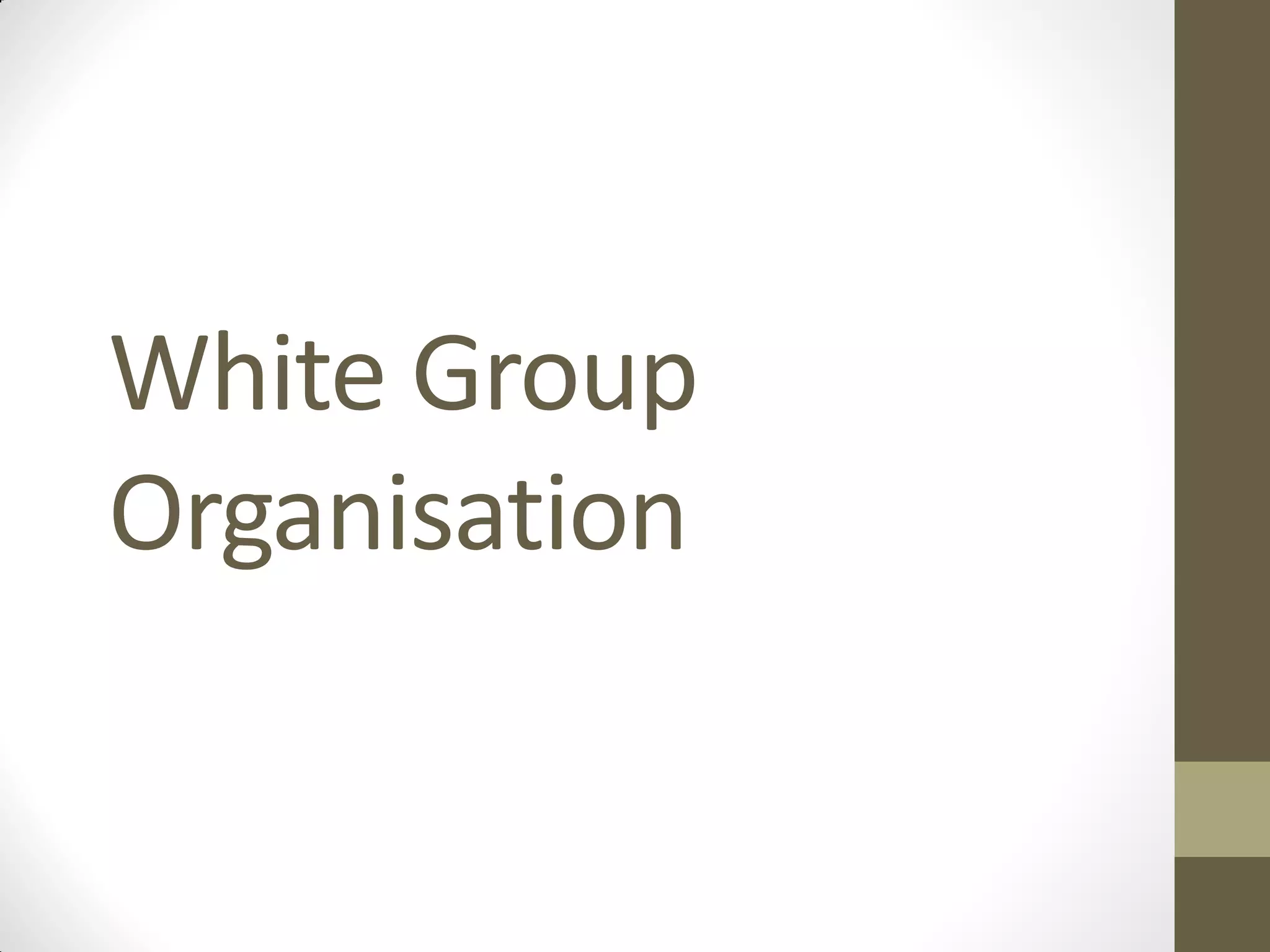 White Group
Organisation
 