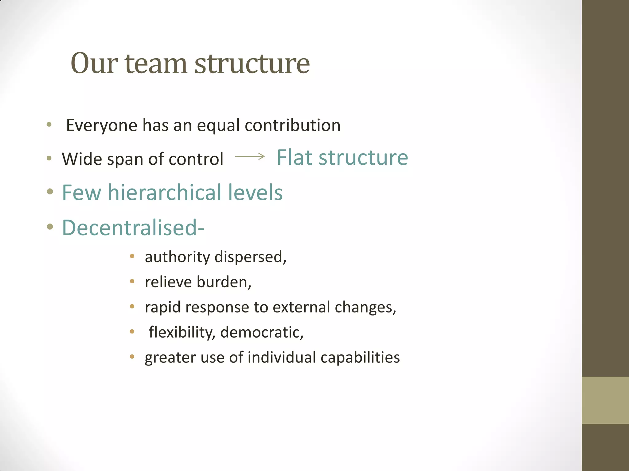 Our team structure
• Everyone has an equal contribution
• Wide span of control Flat structure
• Few hierarchical levels
• Decentralised-
• authority dispersed,
• relieve burden,
• rapid response to external changes,
• flexibility, democratic,
• greater use of individual capabilities
 