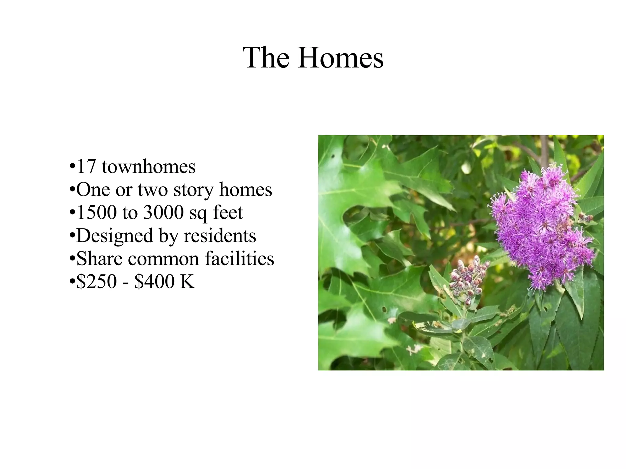 The Homes 17 townhomes One or two story homes 1500 to 3000 sq feet Designed by residents Share common facilities $250 - $400 K 