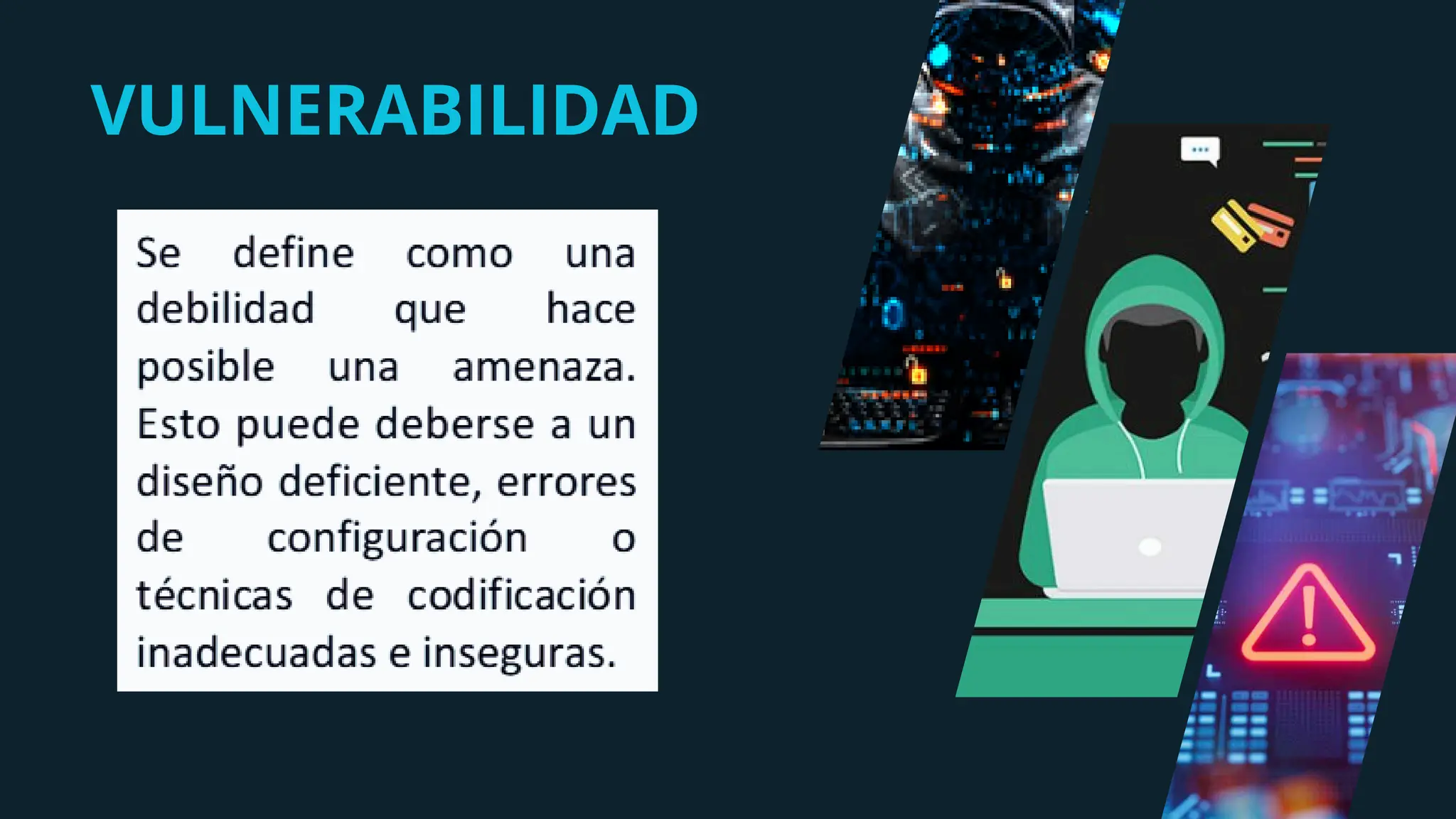 VULNERABILIDAD
 
