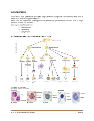 White Blood Cell Disorders (ramkumaradhikari) | PDF