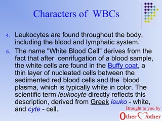 Characters of WBCs 
4. Leukocytes are found throughout the body, 
including the blood and lymphatic system. 
5. The name "White Blood Cell" derives from the 
fact that after cenrifugation of a blood sample, 
the white cells are found in the Buffy coat, a 
thin layer of nucleated cells between the 
sedimented red blood cells and the blood 
plasma, which is typically white in color. The 
scientific term leukocyte directly reflects this 
description, derived from Greek leuko - white, 
and cyte - cell. Brought to you by 
 