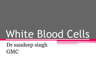 White Blood Cells
Dr sandeep singh
GMC
 