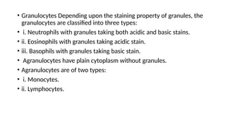 • Granulocytes Depending upon the staining property of granules, the
granulocytes are classified into three types:
• i. Neutrophils with granules taking both acidic and basic stains.
• ii. Eosinophils with granules taking acidic stain.
• iii. Basophils with granules taking basic stain.
• Agranulocytes have plain cytoplasm without granules.
• Agranulocytes are of two types:
• i. Monocytes.
• ii. Lymphocytes.
 