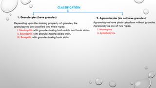 Comprehensive Overview of White Blood Cells: Classification, Functions ...