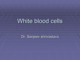 White blood cells
Dr. Sanjeev shrivastava
 