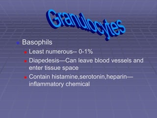  Basophils
 Least numerous-- 0-1%
 Diapedesis—Can leave blood vessels and
enter tissue space
 Contain histamine,serotonin,heparin—
inflammatory chemical
 
