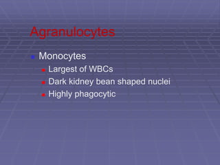 Agranulocytes
 Monocytes
 Largest of WBCs
 Dark kidney bean shaped nuclei
 Highly phagocytic
 
