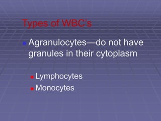 Types of WBC’s
 Agranulocytes—do not have
granules in their cytoplasm
 Lymphocytes
 Monocytes
 