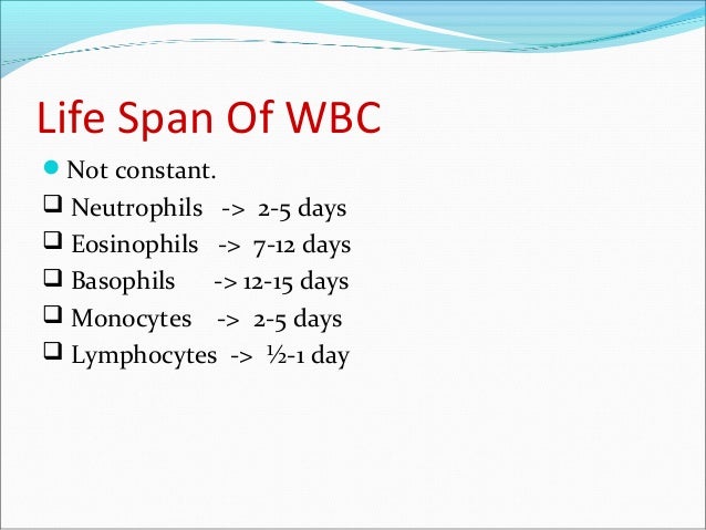 PPT Chapter 19 Blood PowerPoint Presentation, free