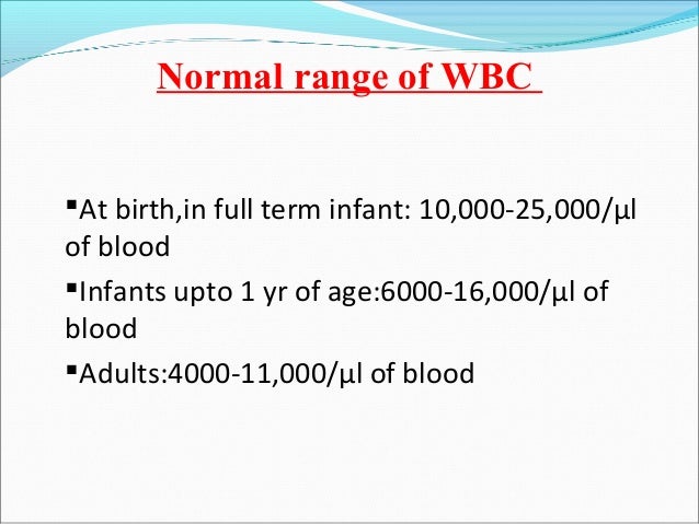wbc blood test normal range pregnancy