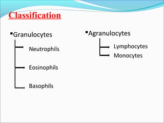 White blood cells | PPT
