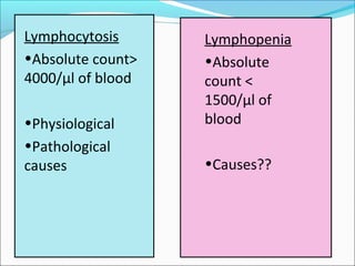 White blood cells | PPT